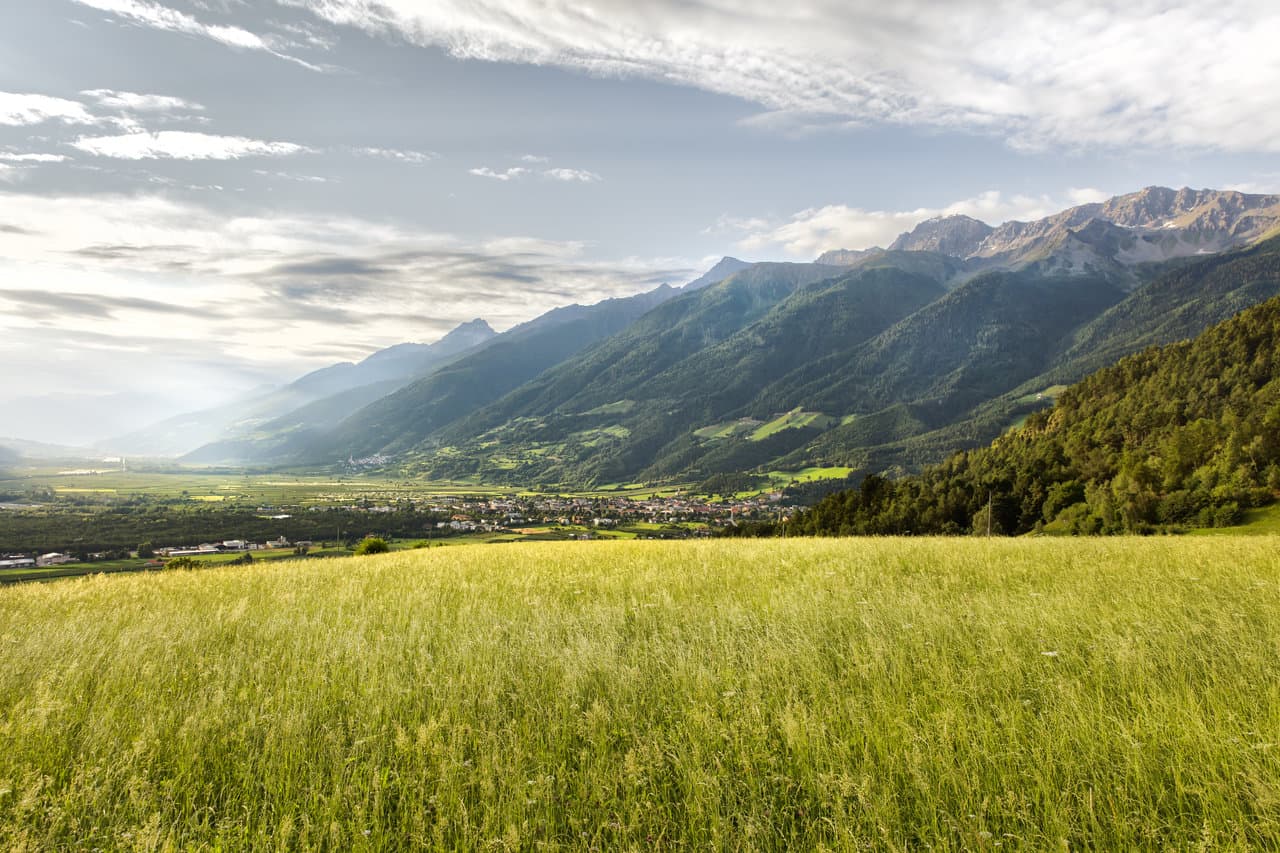 Bergwiese im Vinschgau