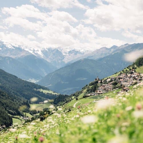 Alpine Wiesen für Biker