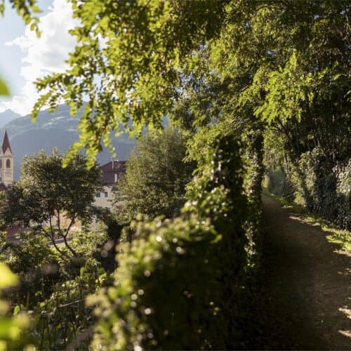 Waalweg im Obervinschgau